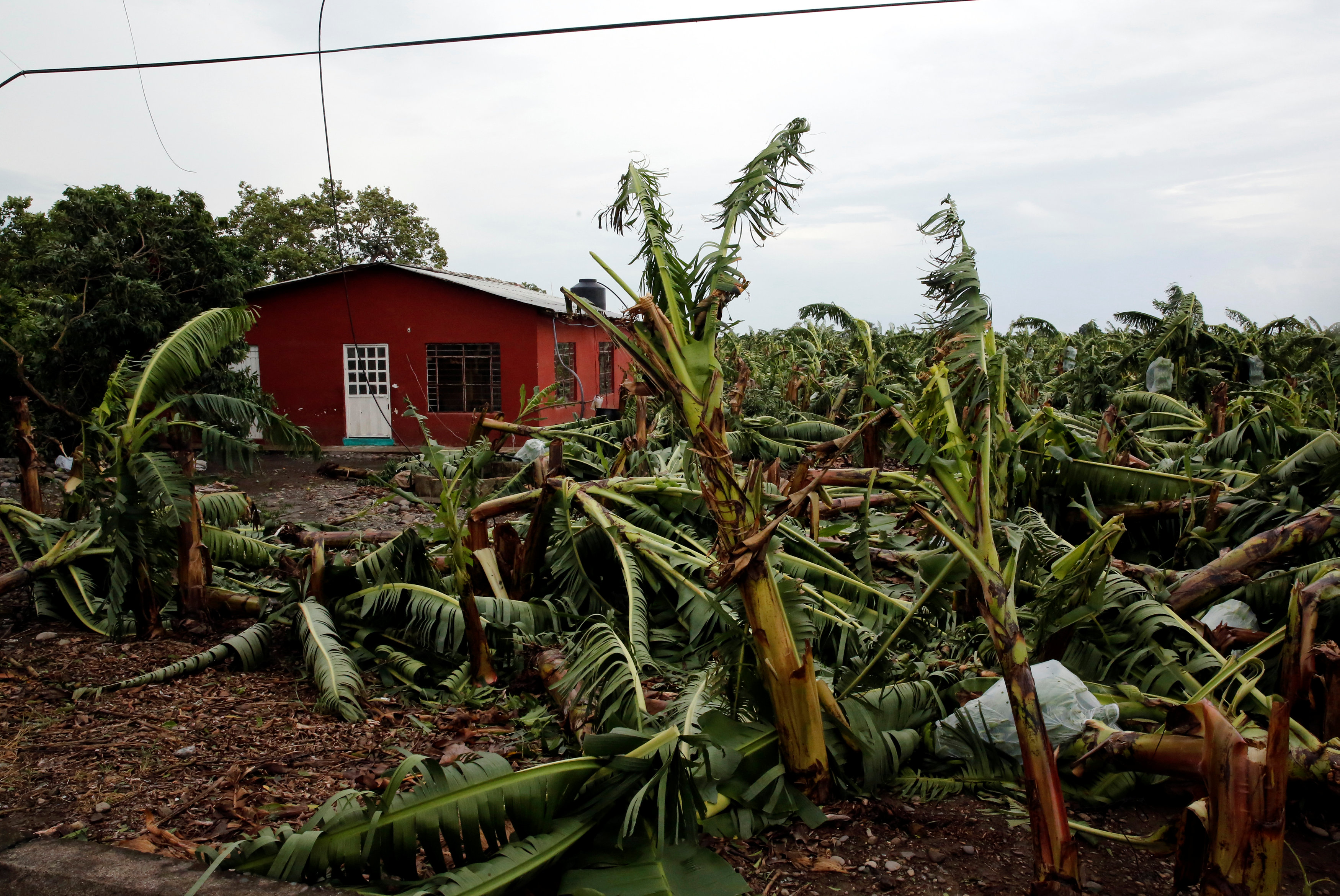 منطقة زراعية تتأثر بالإعصار