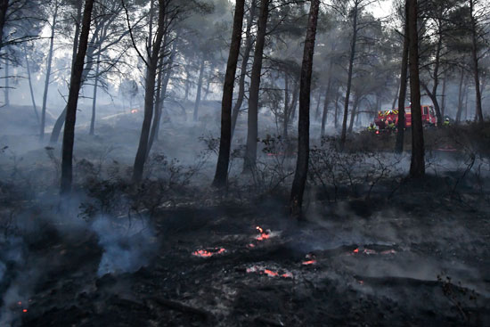 حرائق الغابات فى فرنسا