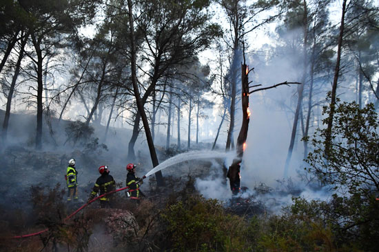 محاولات مكافحة حرائق الغابات فى فرنسا