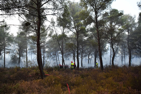 مكافحة حرائق الغابات فى فرنسا