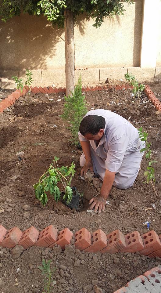 المدير أثناء زرع الحديقة