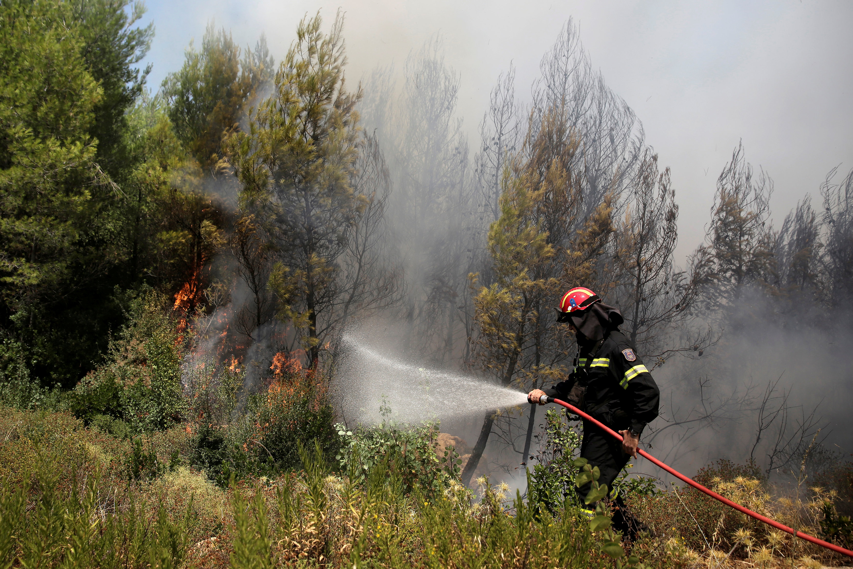 رجل إطفال يحاول السيطرة على حريق الغابات قرب أثينا