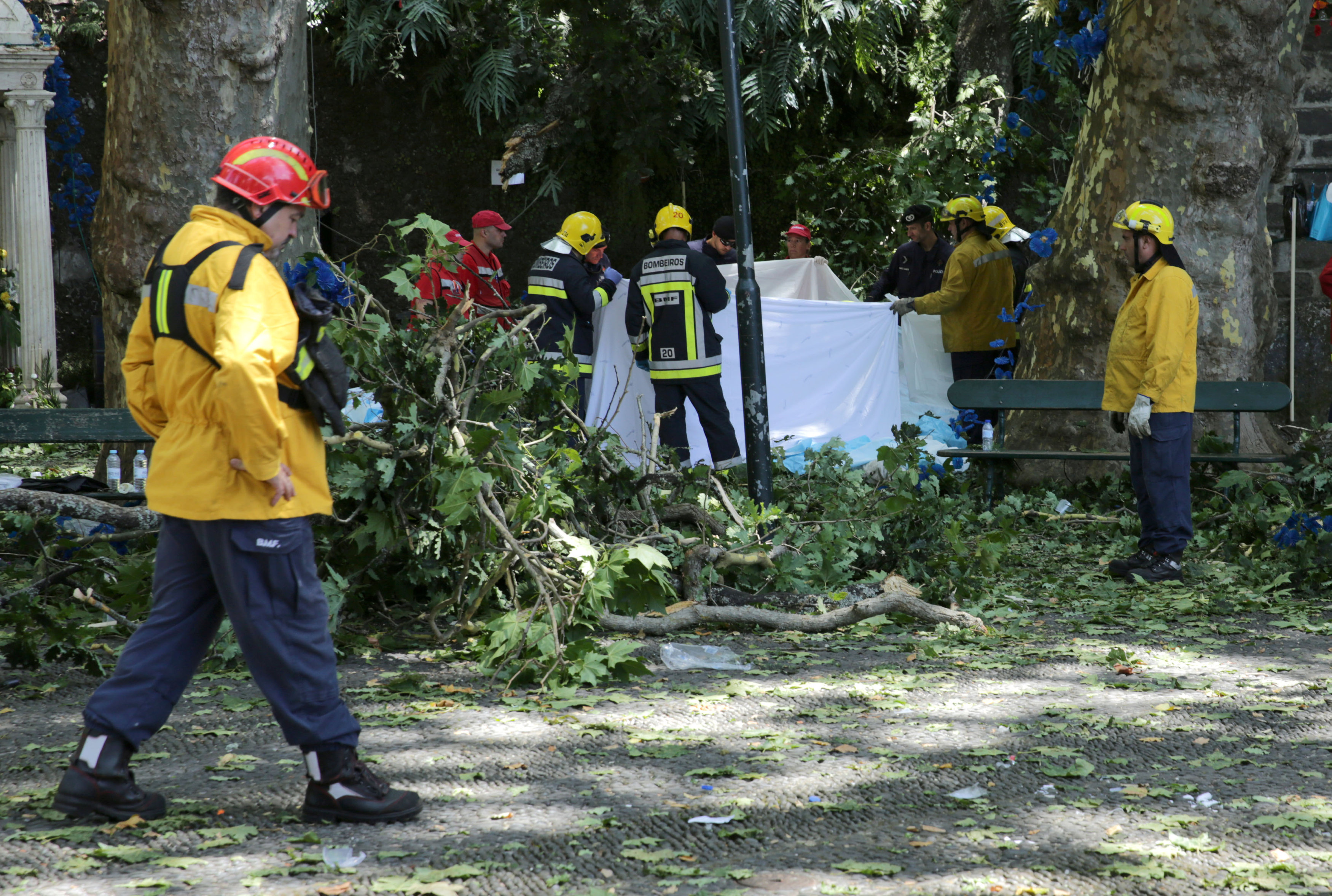 مصرع 11 شخصا بعد سقوط شجرة فى احتفال دينى بالبرتغال