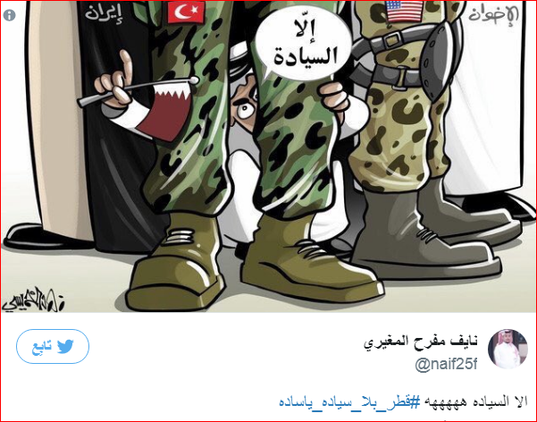كاريكاتير ساخر من النظام القطرى