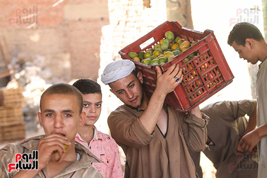 عمال المزرعة خلال نقل المحصول