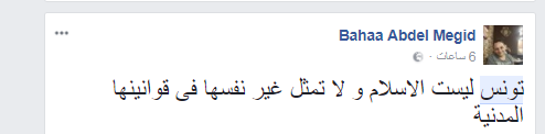 بهاء عبد المجيد