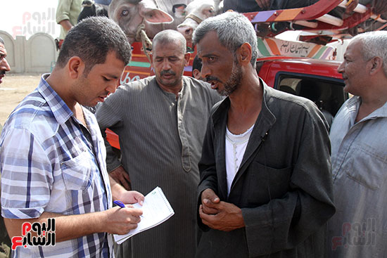 سوق بنها العمومى لبيع الماشية بكفر سعد (16)