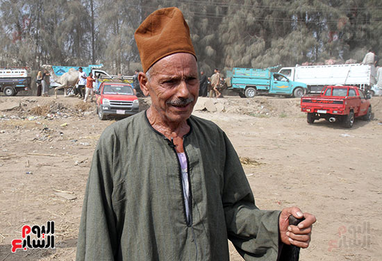 سوق بنها العمومى لبيع الماشية بكفر سعد (15)