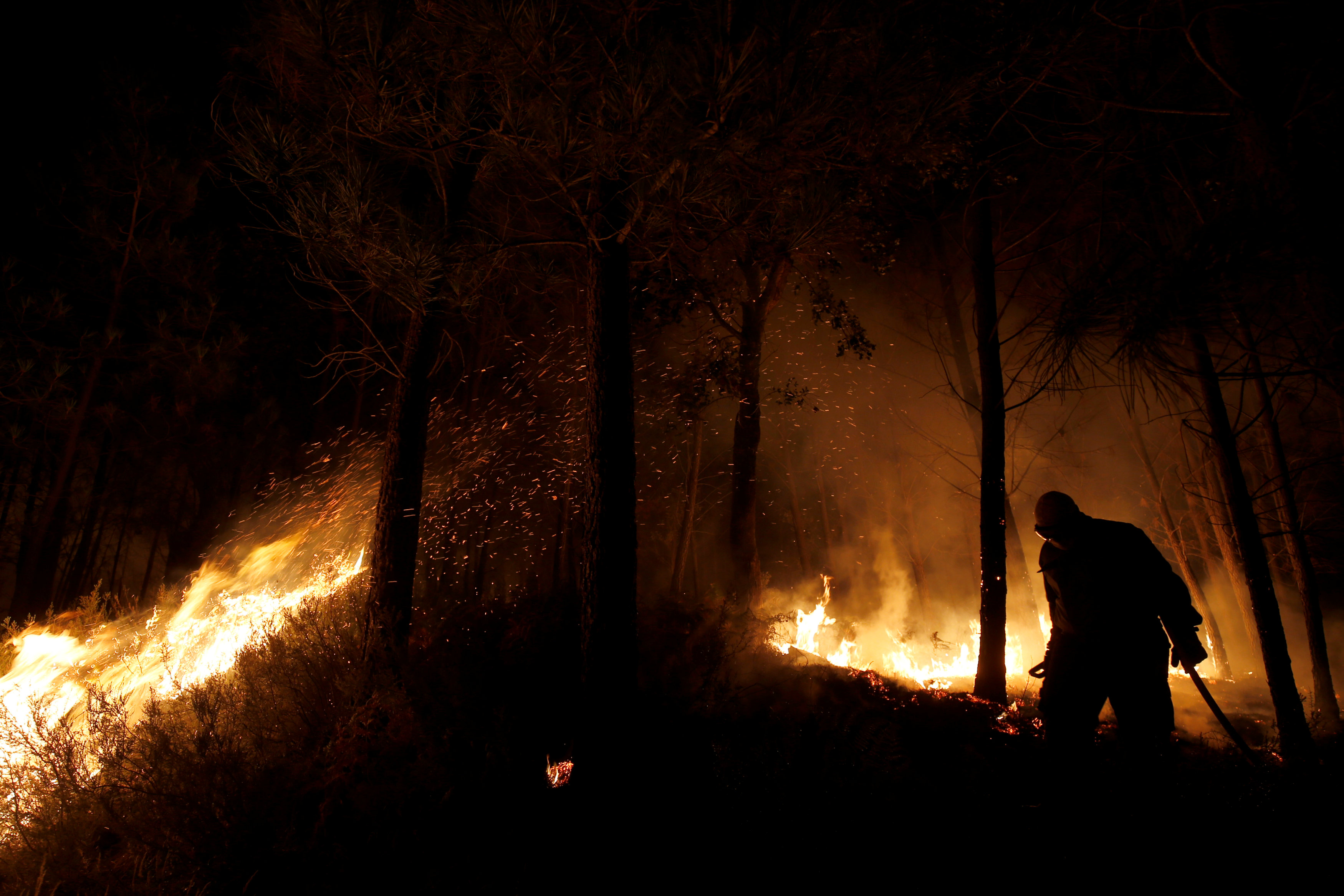 حرائق الغابات فى البرتغال