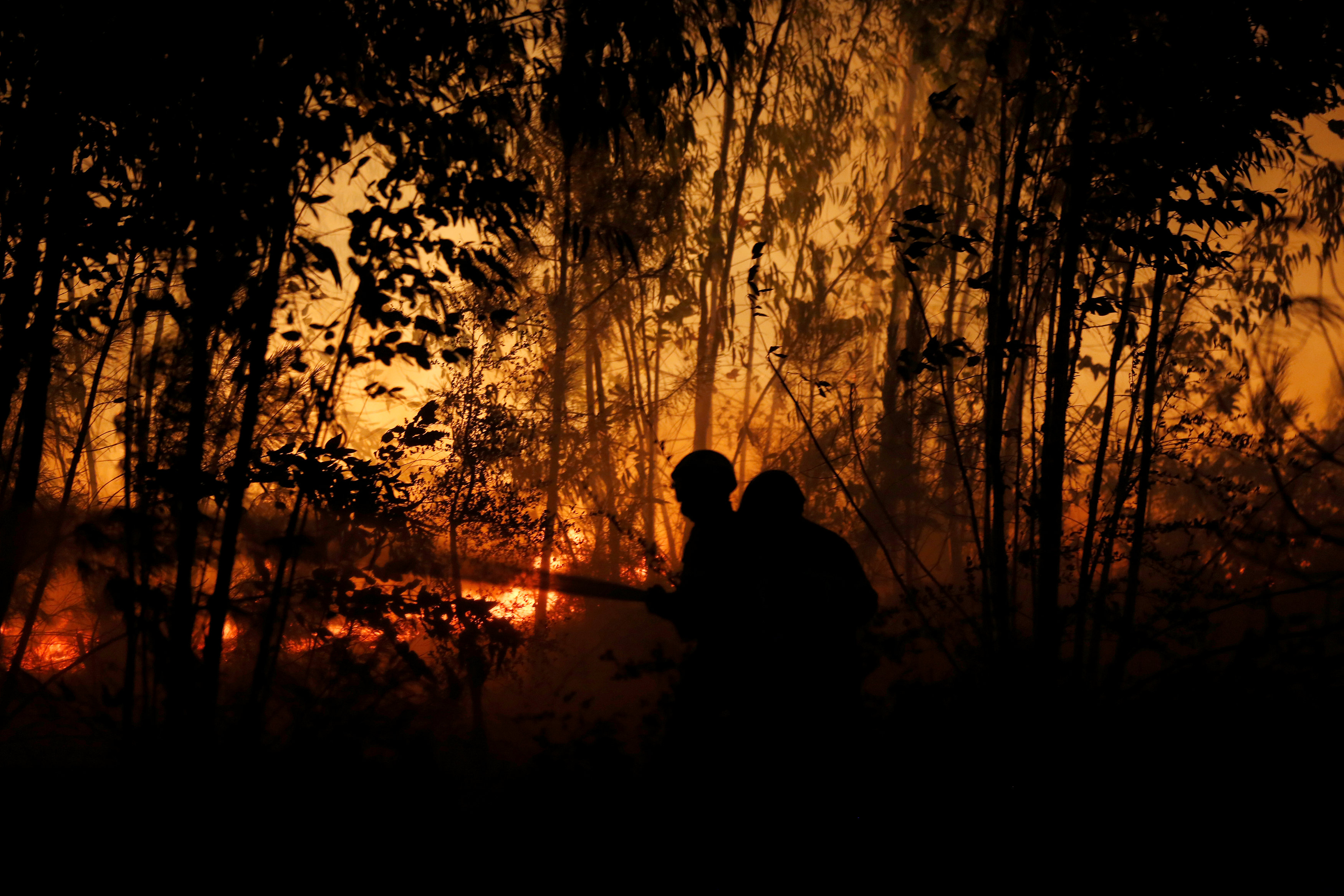 رجال الاطفاء يسعون لمكافحة الحرائق