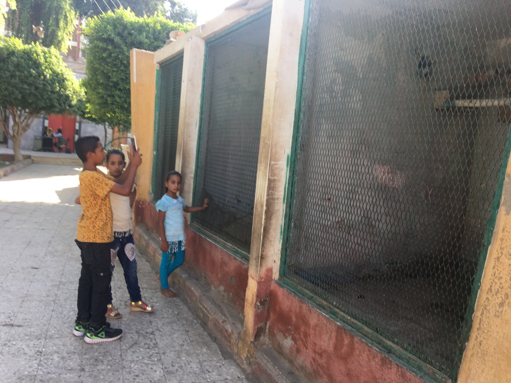 اطفال يلعبون داخل حديقة ابوتيج (3)