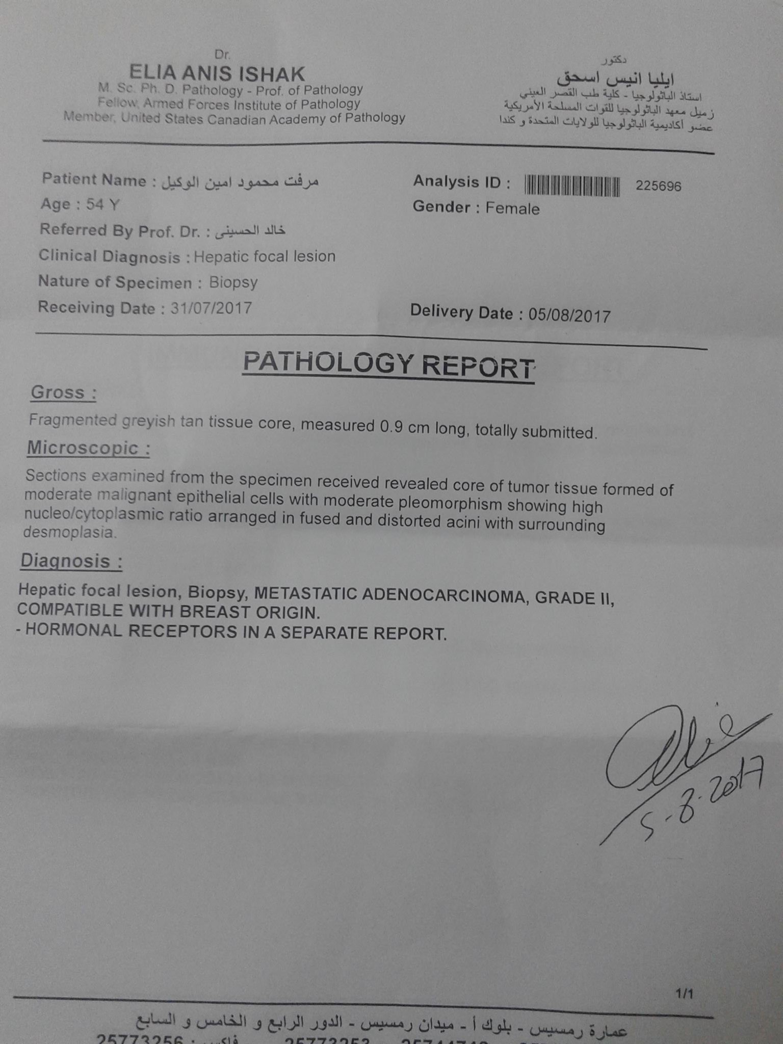 التقارير الطبية لميرفت محمود أمين (3)