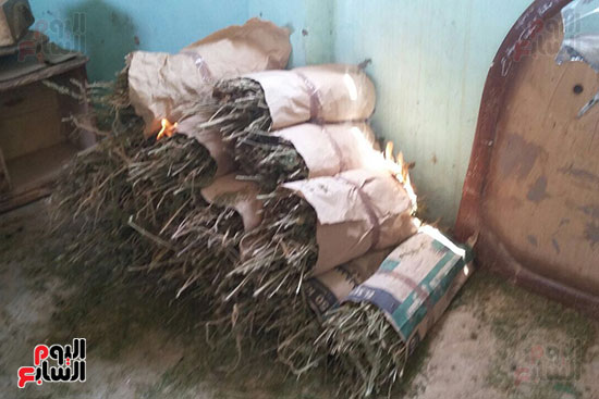 تدمير المخدرات