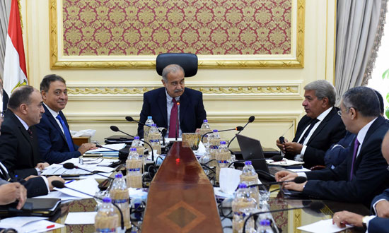 اجتماع مجلس الوزراء (3)