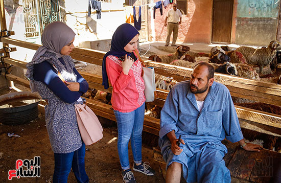 الأضاحى  المدبح عيد الاضحى (3)