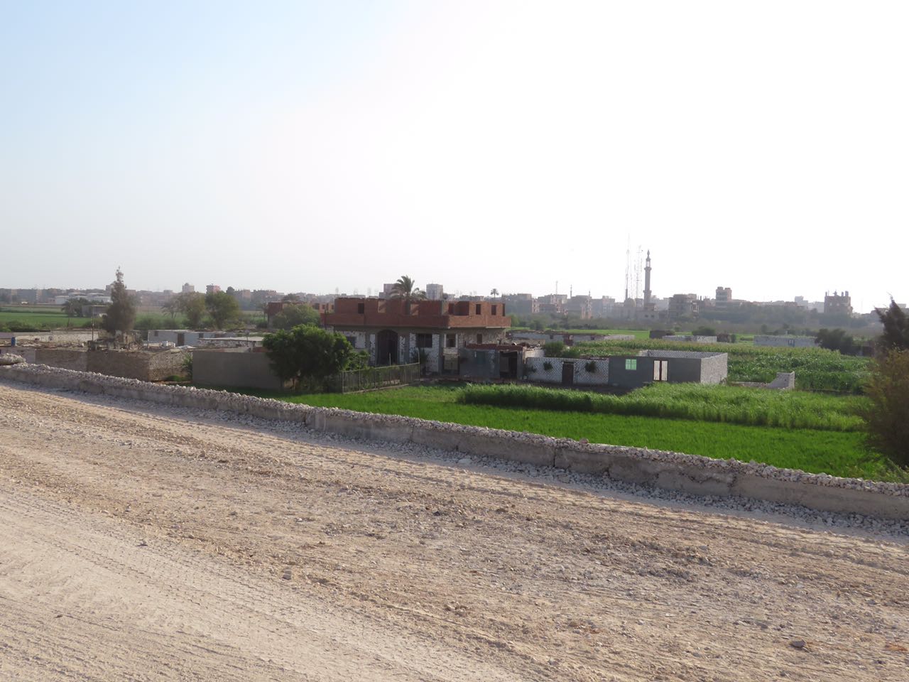 تبوير الأراضى الزراعية حول طريق شبرا ـ بنها الجديد (5)