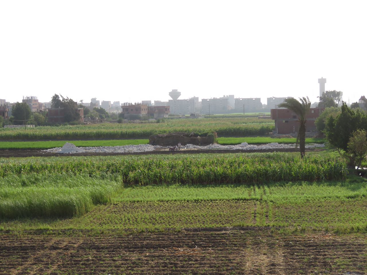 تبوير الأراضى الزراعية حول طريق شبرا ـ بنها الجديد (2)