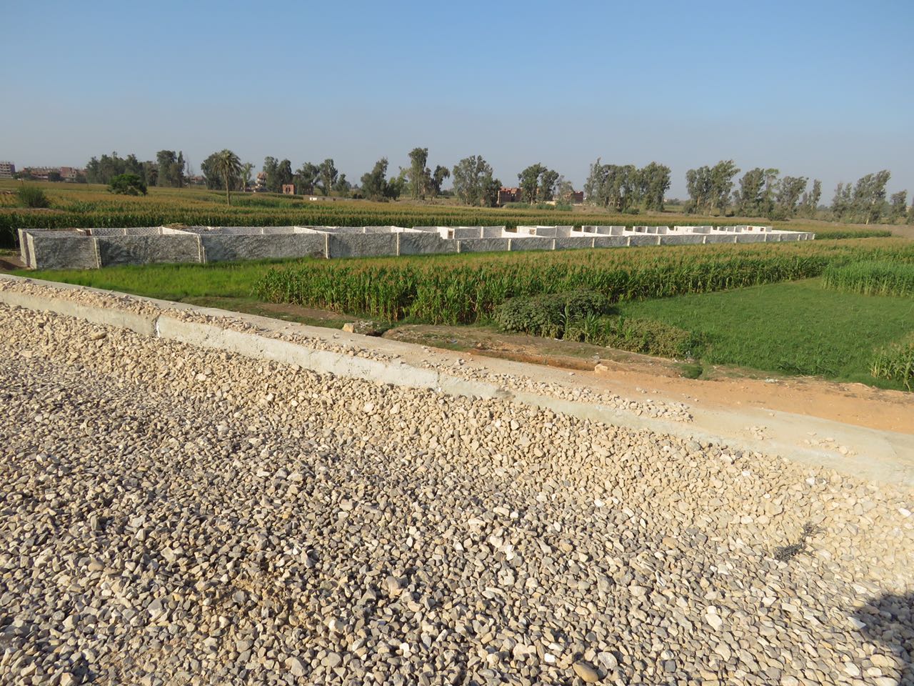 تبوير الأراضى الزراعية حول طريق شبرا ـ بنها الجديد (9)
