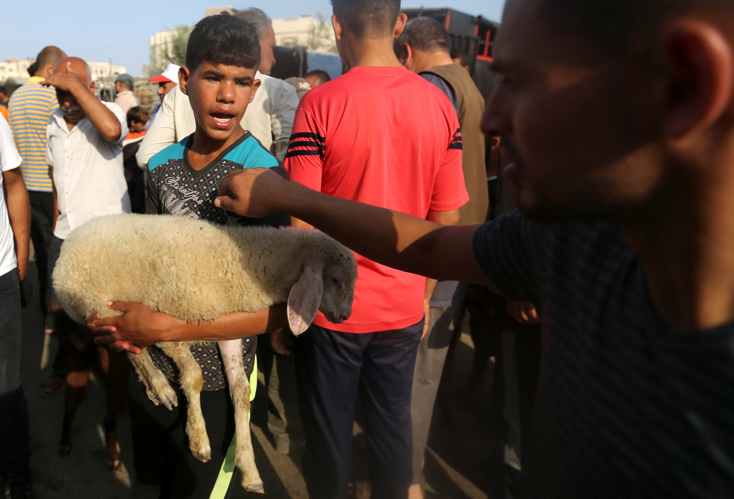 طفل يحمل خروف