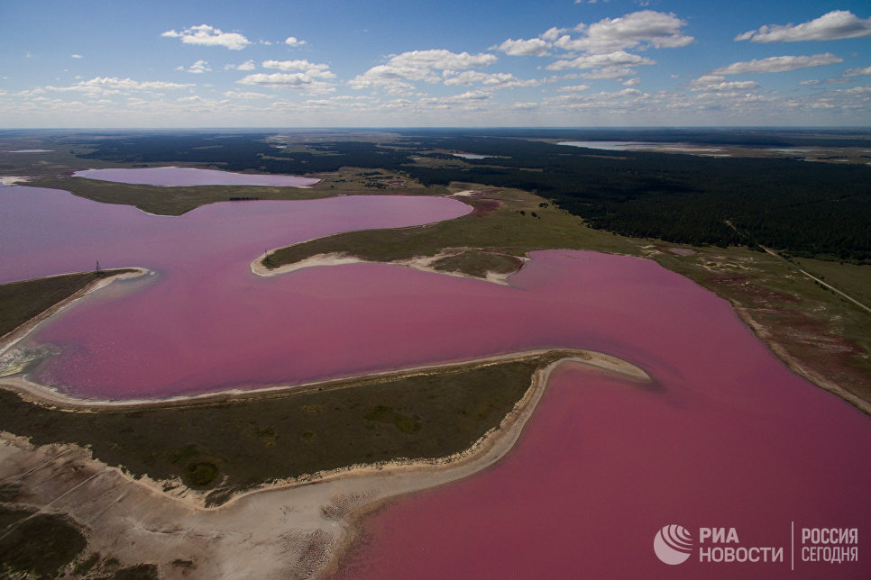 البحيرة الوردية
