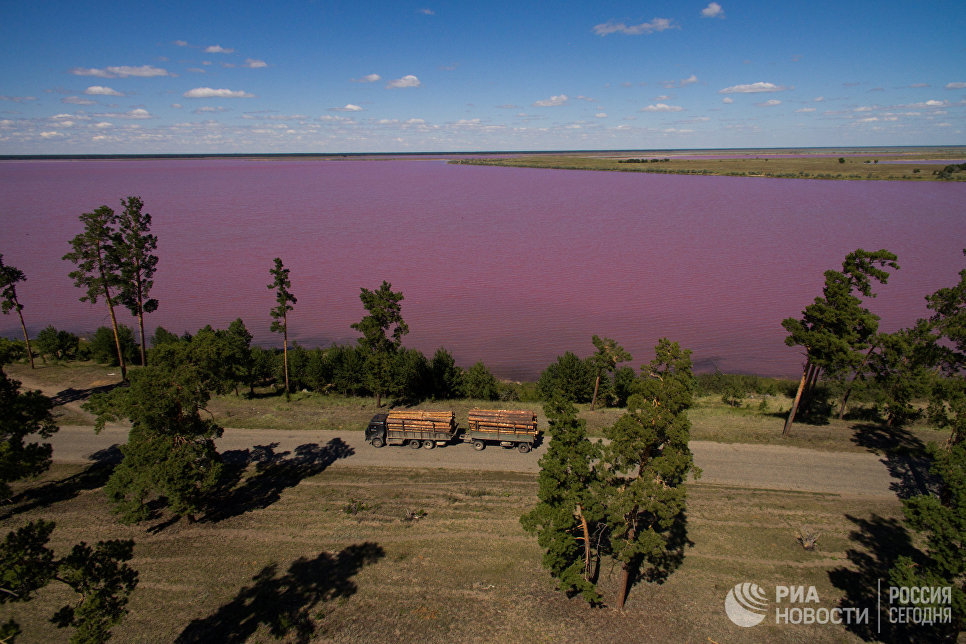 بحيرة وردية اللون فى روسيا