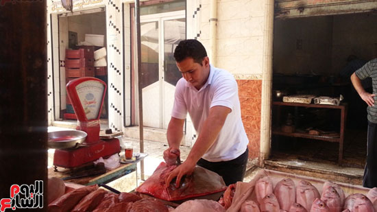 سوق-أبو-قير-للأسماك-بالإسكندرية-(20)