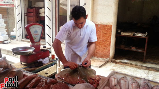 سوق-أبو-قير-للأسماك-بالإسكندرية-(19)