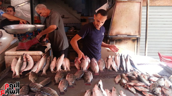 سوق-أبو-قير-للأسماك-بالإسكندرية-(21)