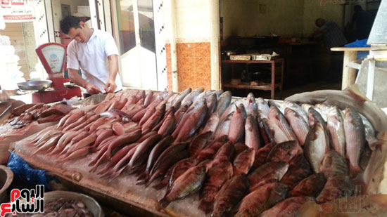 سوق-أبو-قير-للأسماك-بالإسكندرية-(18)