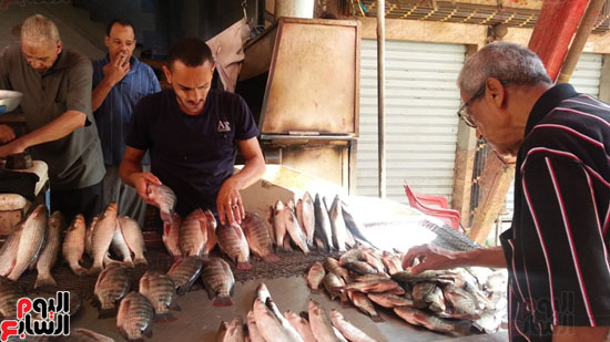 سوق-أبو-قير-للأسماك-بالإسكندرية-(8)