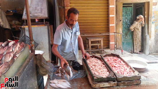 سوق-أبو-قير-للأسماك-بالإسكندرية-(15)