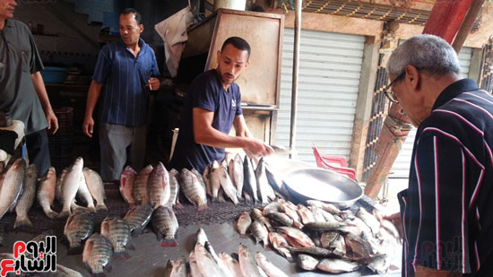 سوق-أبو-قير-للأسماك-بالإسكندرية-(9)