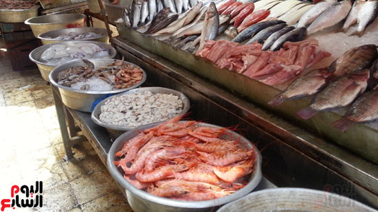 سوق-أبو-قير-للأسماك-بالإسكندرية-(4)
