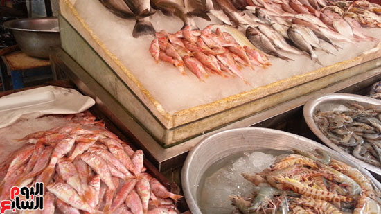 سوق-أبو-قير-للأسماك-بالإسكندرية-(11)
