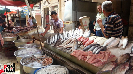 سوق-أبو-قير-للأسماك-بالإسكندرية-(17)