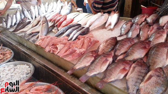 سوق-أبو-قير-للأسماك-بالإسكندرية-(16)