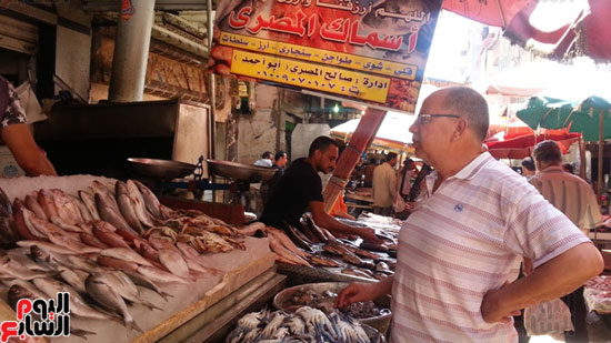 سوق-أبو-قير-للأسماك-بالإسكندرية-(12)