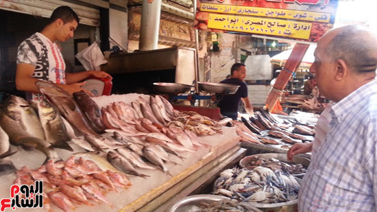 سوق-أبو-قير-للأسماك-بالإسكندرية-(10)