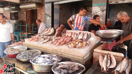 سوق-أبو-قير-للأسماك-بالإسكندرية-(5)