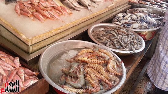 سوق-أبو-قير-للأسماك-بالإسكندرية-(2)