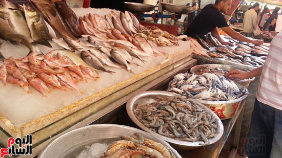 سوق-أبو-قير-للأسماك-بالإسكندرية-(13)