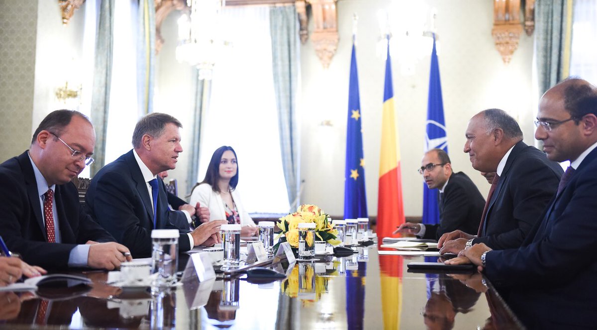 جانب من اللقاء مع رئيس رومانيا