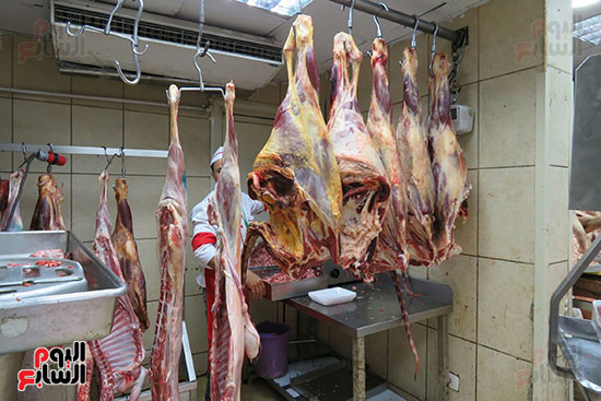 وزير التموين يوجه المجمعات بتجهيز اللحوم قبل فتح المنافذ منعا للتزاحم (10)