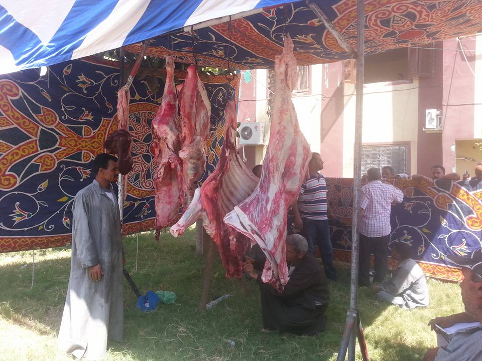 5- توفير اللحوم ب 100 جنيه للكيلو أمام مجلس مدينة الحامول