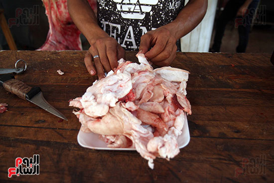 شوادر اللحوم تغزو شوارع القاهرة (11)