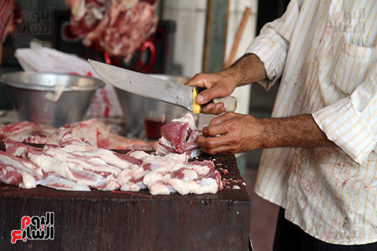 شوادر اللحوم تغزو شوارع القاهرة (9)