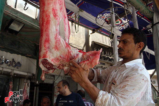 شوادر اللحوم تغزو شوارع القاهرة (16)