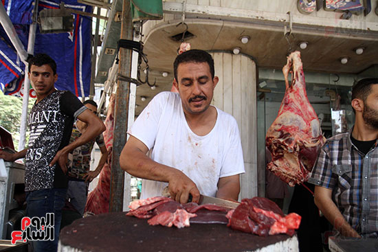 شوادر اللحوم تغزو شوارع القاهرة (4)