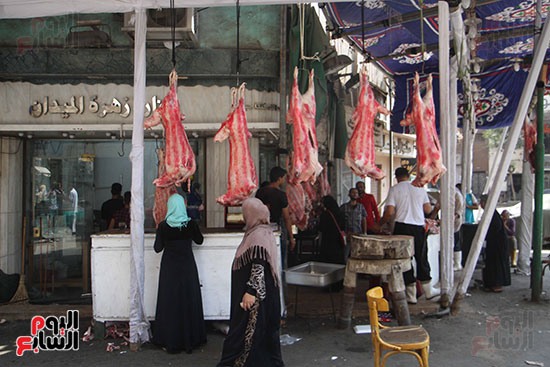 شوادر اللحوم تغزو شوارع القاهرة (13)