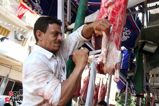 شوادر اللحوم تغزو شوارع القاهرة (10)